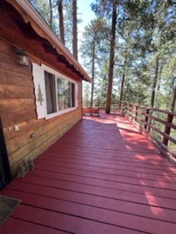 Prime Plus Painters project 2