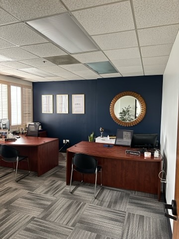 Prime Plus Painters project 3